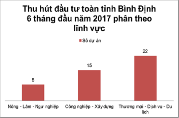 Bình Định: Vận dụng linh hoạt, hiệu quả trong thu hút đầu tư - Hình 1