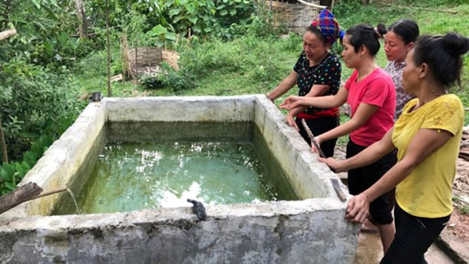 Huyện Thường Xuân (Thanh Hóa): Hai bé trai chết đuối trong bể nước ăn của gia đình - Hình 1