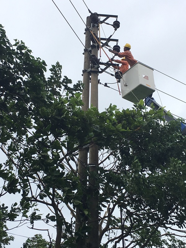 Nhiều địa phương được cấp điện trở lại sau bão - Hình 1