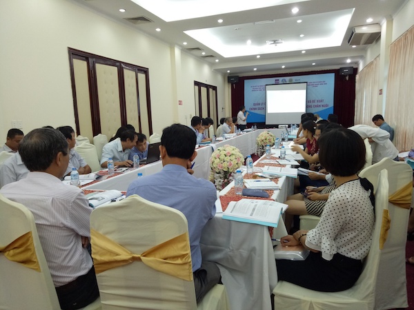 Chất thải chăn nuôi chưa qua xử lý gây ô nhiễm môi trường