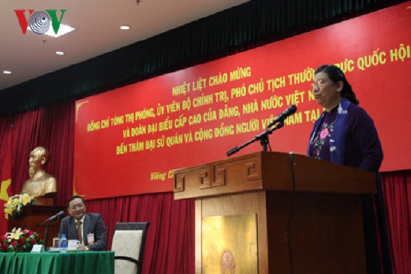 Phó Chủ tịch Quốc hội thăm cộng đồng người Việt tại Lào - Hình 1