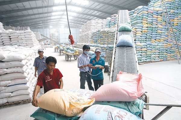 Việt Nam trúng thầu cung cấp gần 200.000 tấn gạo cho Philippines - Hình 1