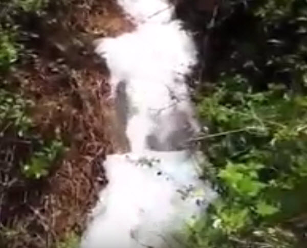 Nhà máy Bauxite Tân Rai xả thải ra môi trường?