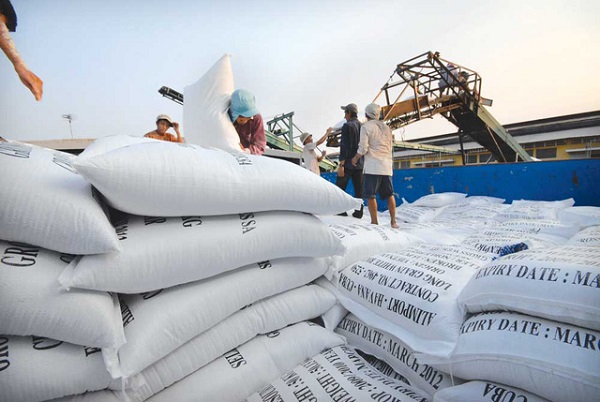 Việt Nam trúng thầu 175.000 tấn gạo xuất khẩu sang Philippines - Hình 1
