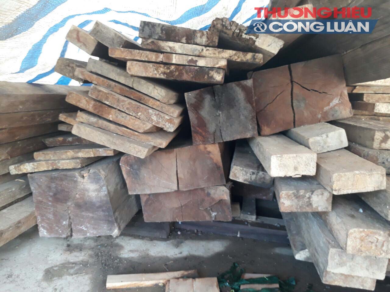 Phát hiện gỗ lậu quý hiếm trong “biệt phủ” trưởng ban quản lý rừng?