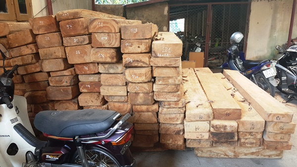 Vĩnh Phúc: Tịch thu phương tiện vận chuyển và 121 tấm gỗ Pơ mu không có nguồn gốc - Hình 1
