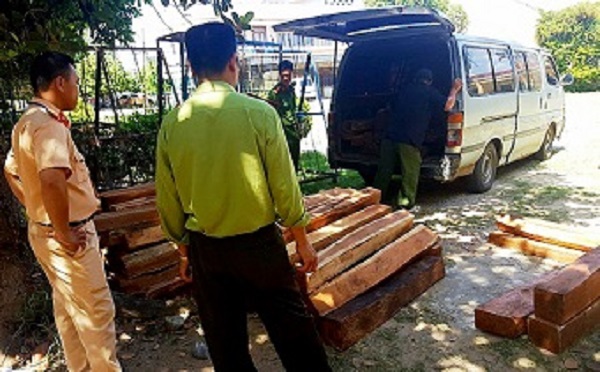 Gia Lai: Bắt giữ hơn 170 lóng gỗ căm xe không rõ nguồn gốc