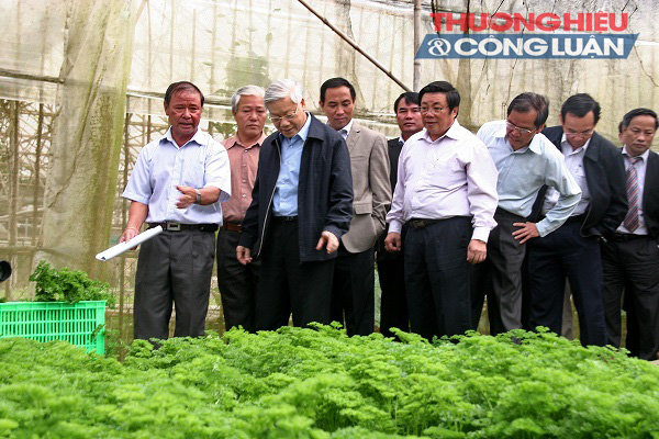 Hội nghị ứng dụng nông nghiệp công nghệ cao tại Lâm Đồng - Hình 1