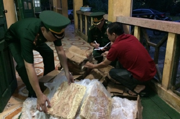 Lào Cai: Phát hiện hơn 1 tạ nội tạng động vật lậu