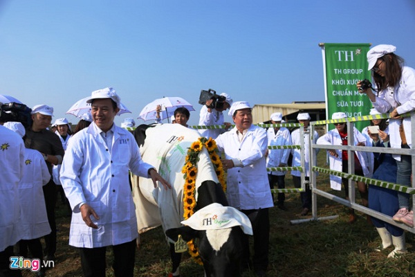 TH true MILK: Ra mắt trang trại bò sữa hữu cơ đầu tiên tại Việt Nam - Hình 3