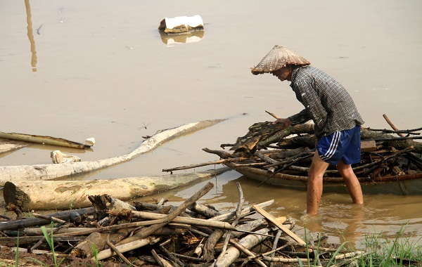 Phú Thọ: Coi thường tính mạng, người dân đua nhau vớt củi trên sông khi nước dâng cao - Hình 5
