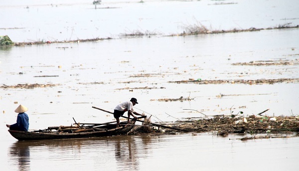 Phú Thọ: Coi thường tính mạng, người dân đua nhau vớt củi trên sông khi nước dâng cao - Hình 1