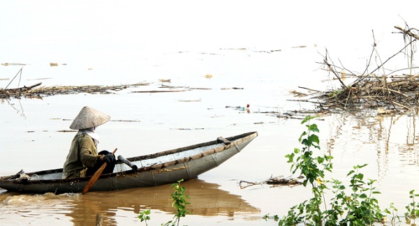 Phú Thọ: Coi thường tính mạng, người dân đua nhau vớt củi trên sông khi nước dâng cao - Hình 3