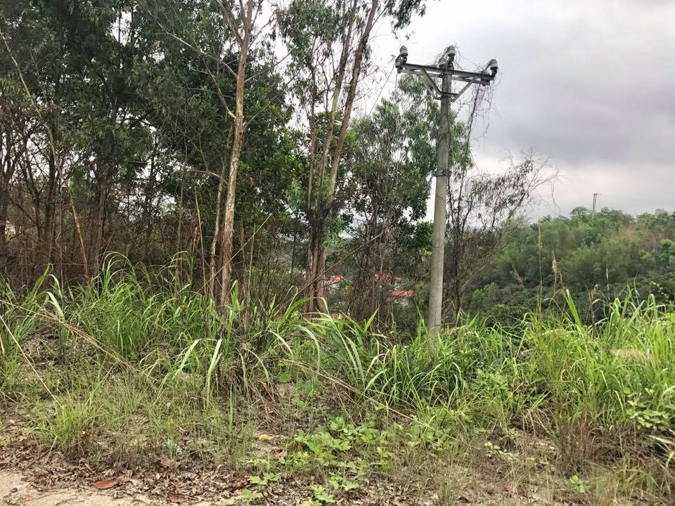 Quảng Ninh: Thu hồi, chấm dứt hoạt động đầu tư 3 dự án trên địa bàn TP. Hạ Long