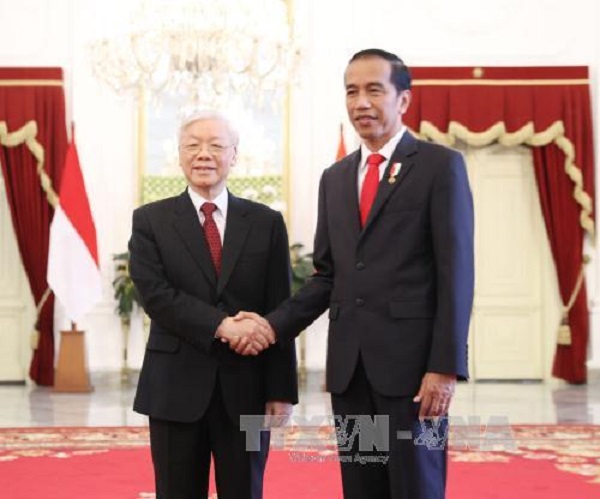 Tổng Bí thư hội đàm với Tổng thống Indonesia - Hình 1