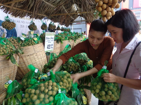 Khai mạc Tuần lễ Nhãn lồng Hưng Yên tại Hà Nội