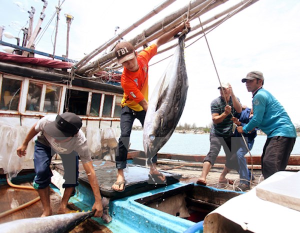 Người lao động đi làm việc tại Thái Lan cần biết...