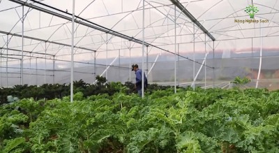 Agribank - “Tài chính cho phát triển nông nghiệp, nông thôn” - Hình 1