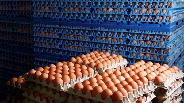 Vụ bê bối trứng nhiễm thuốc trừ sâu đã lan ra 40 quốc gia