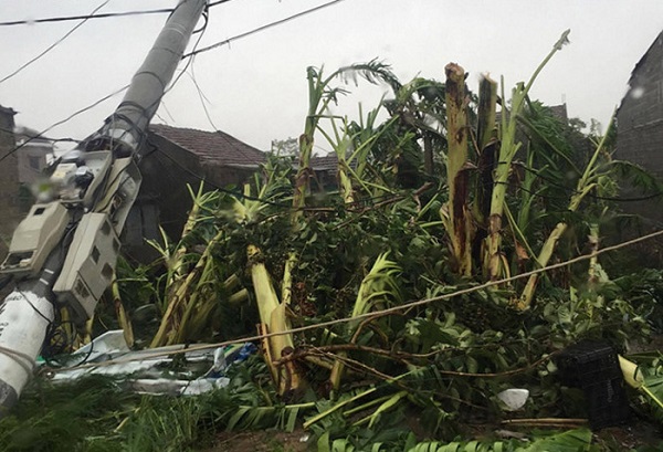 Thủ tướng Nguyễn Xuân Phúc trực tiếp thị sát và chỉ đạo khắc phục hậu quả bão số 10 - Hình 2