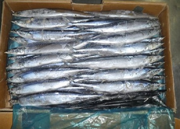 TP. HCM: Thu giữ gần 400 kg cá thu đông lạnh quá hạn sử dụng - Hình 1