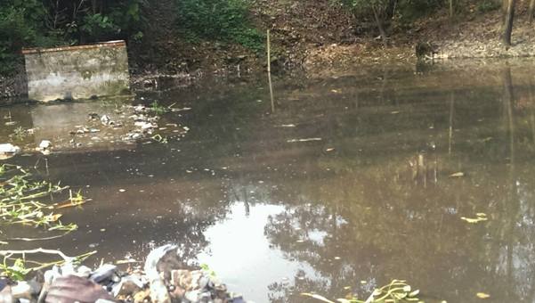 Xã Hợp Châu (Lương Sơn, Hòa Bình): Cá chết hàng loạt do ô nhiễm môi trường