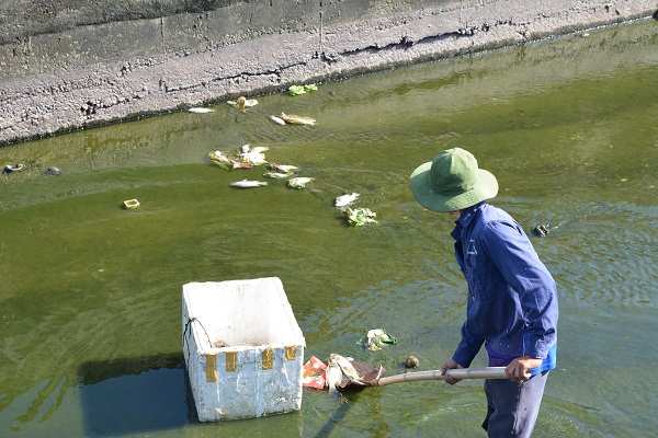 Quảng Nam: Cá chết hàng loạt trên hồ Nguyễn Du