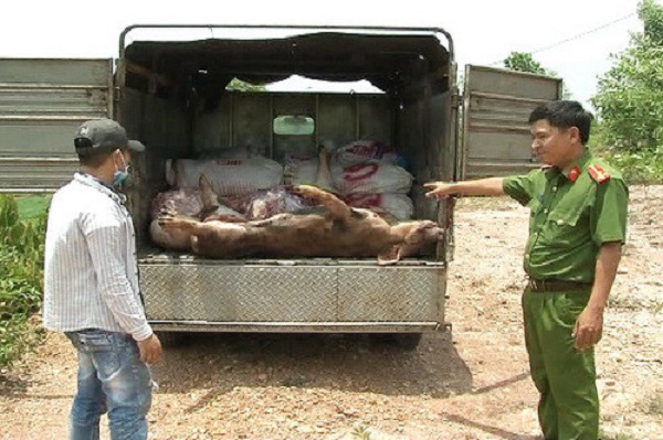 Đồng Nai: Tiêu hủy hơn 800 kg động vật không rõ nguồn gốc - Hình 1
