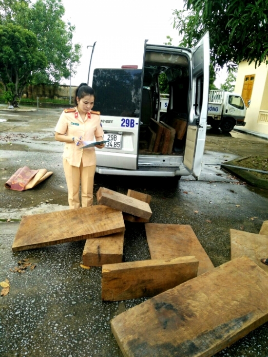 Thanh Hóa: Bắt giữ vụ vận chuyển gỗ trái phép - Hình 1