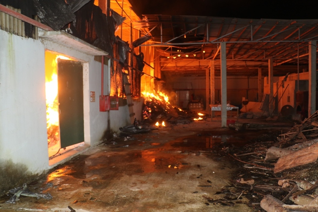 Thanh Hóa: Kho nguyên liệu xưởng tăm cháy rụi lúc nửa đêm - Hình 1