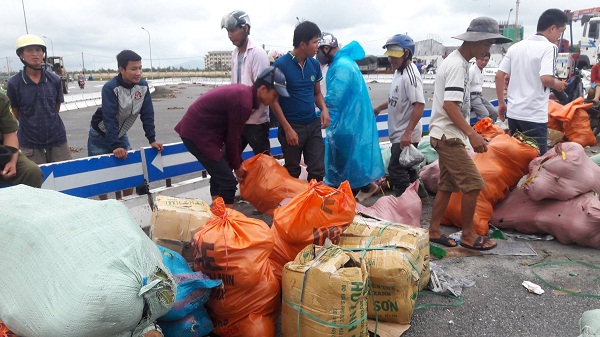 Hà Tĩnh: Lật xe container, người dân giúp tài xế thu gom 26 tấn hoa quả - Hình 3