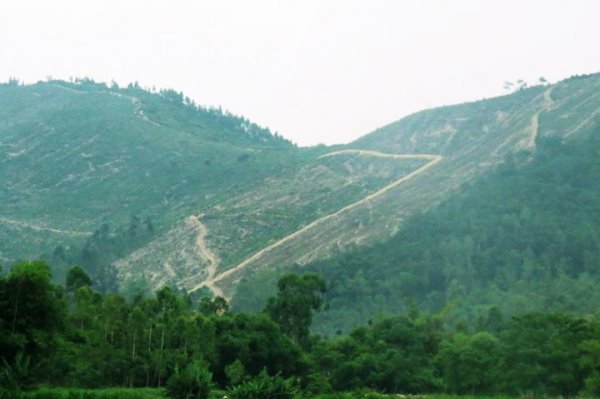 Rừng phòng hộ núi Ngang (Vĩnh Phúc): Rà soát để điều chỉnh quy hoạch - Hình 2