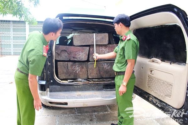 Quảng Nam: Liên tiếp phát hiện, bắt giữ các vụ vận chuyển gỗ lậu - Hình 1