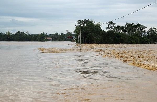Phú Thọ: Mưa lũ gây thiệt hại hơn 22 tỷ đồng - Hình 1