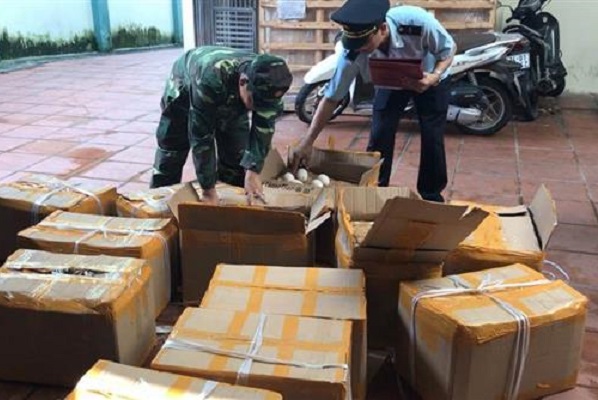 Quảng Ninh: Bắt giữ 1.440 quả trứng ngỗng nhập lậu từ Trung Quốc - Hình 1