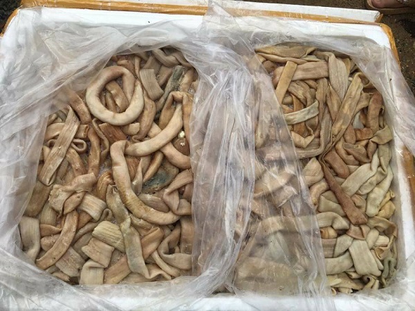 Hà Tĩnh: Vận chuyển hàng tấn lòng lợn bẩn đến với dân nhậu miền Bắc