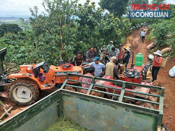 Lâm Đồng: Hiện tượng sụt lún, sạt lở vẫn diễn biến phức tạp