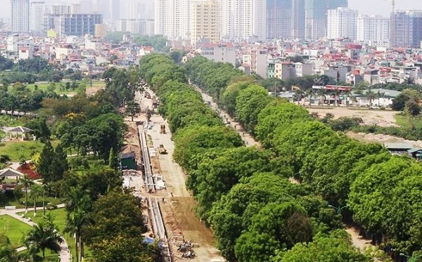 Ngày mai, gần 1300 cây xanh trên đường Phạm Văn Đồng sẽ được chặt hạ, di dời - Hình 1