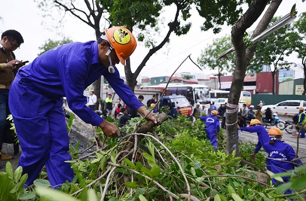 Bắt đầu chặt hạ cây xanh - mở rộng đường vành đai III - Hình 1