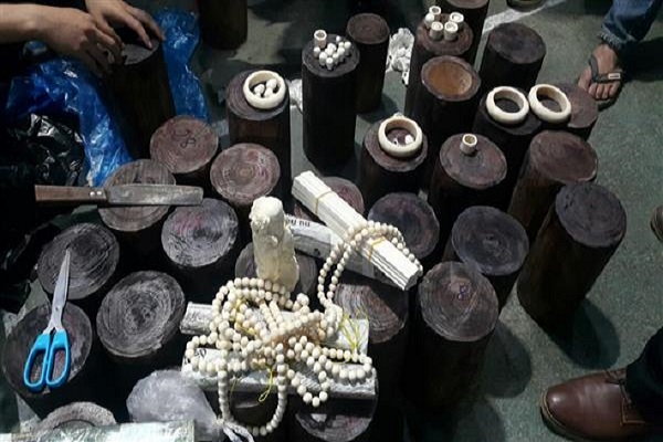 Lạng Sơn: Bắt giữ lô hàng nghi là sản phẩm làm từ ngà voi - Hình 1