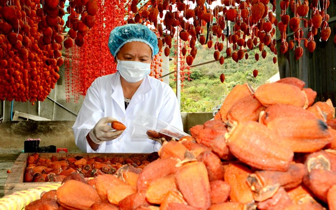 Đà Lạt: Bắt giữ cơ sở đang "phù phép" hàng giả thành đặc sản Đà Lạt