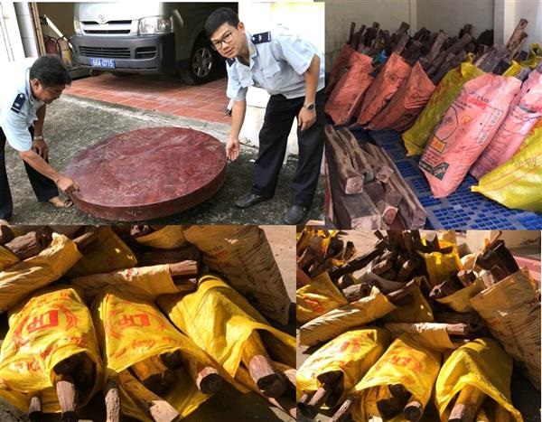 Đồng Tháp: Khởi tố vụ vận chuyển trái phép gỗ qua biên giới