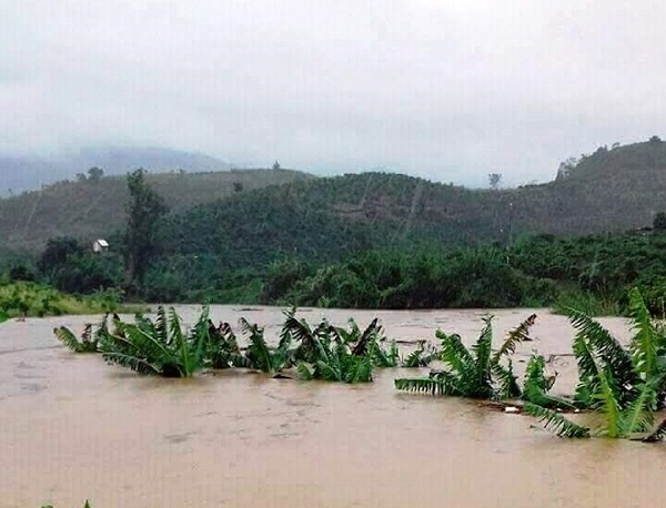 Lâm Đồng: Hai người tử vong, ít nhất 40 căn nhà bị tốc mái do bão số 12 - Hình 3