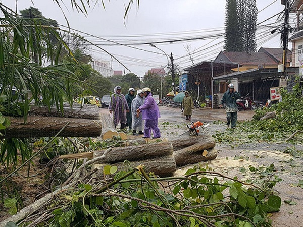 Lâm Đồng: Hai người tử vong, ít nhất 40 căn nhà bị tốc mái do bão số 12 - Hình 5