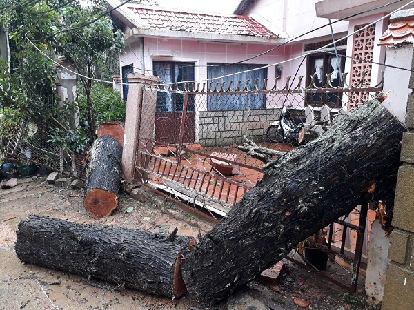 Lâm Đồng: Hai người tử vong, ít nhất 40 căn nhà bị tốc mái do bão số 12 - Hình 6
