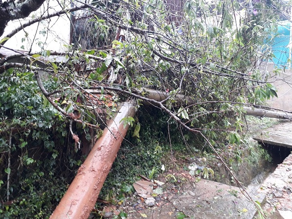 Lâm Đồng: Hai người tử vong, ít nhất 40 căn nhà bị tốc mái do bão số 12 - Hình 7