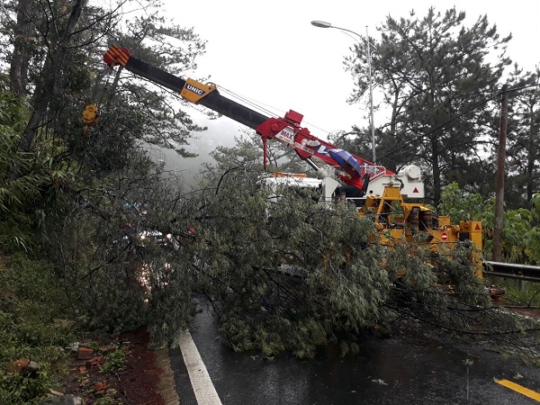 Lâm Đồng: Hai người tử vong, ít nhất 40 căn nhà bị tốc mái do bão số 12 - Hình 8