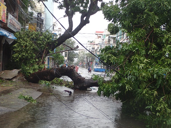 Phóng sự ảnh: Một số hình ảnh thành phố Nha Trang ngay sau cơn bão số 12 - Hình 1