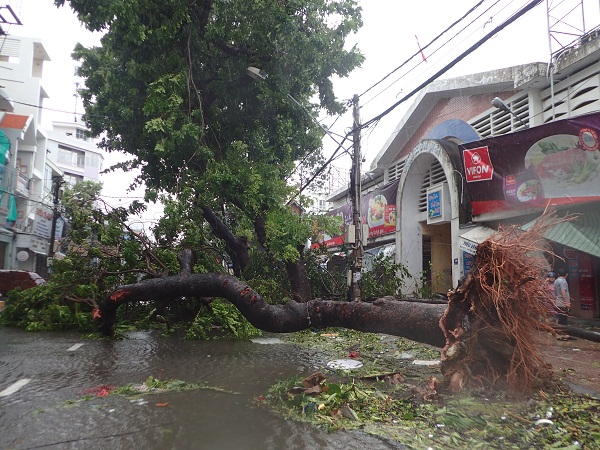 Phóng sự ảnh: Một số hình ảnh thành phố Nha Trang ngay sau cơn bão số 12 - Hình 2