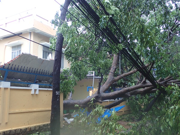 Phóng sự ảnh: Một số hình ảnh thành phố Nha Trang ngay sau cơn bão số 12 - Hình 4